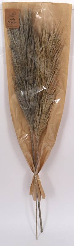 Grey Nanal Flower Stick 39in