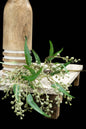 White Pea Berry 32in