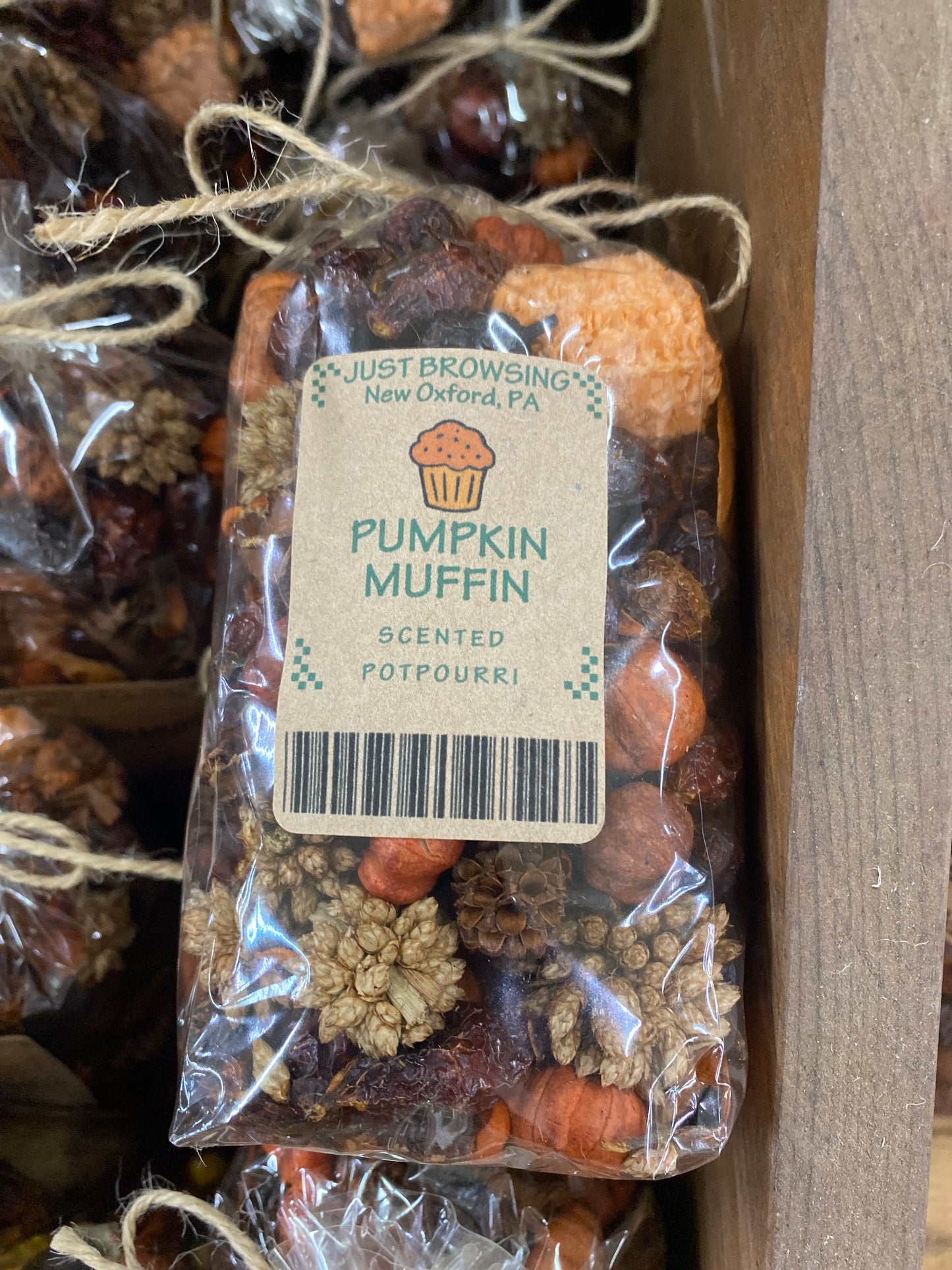 Pumpkin Muffin XS