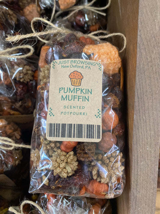 Pumpkin Muffin XS