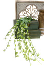 White Hanging Wisteria 4ft