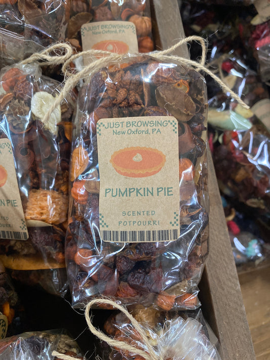Pumpkin Pie XS
