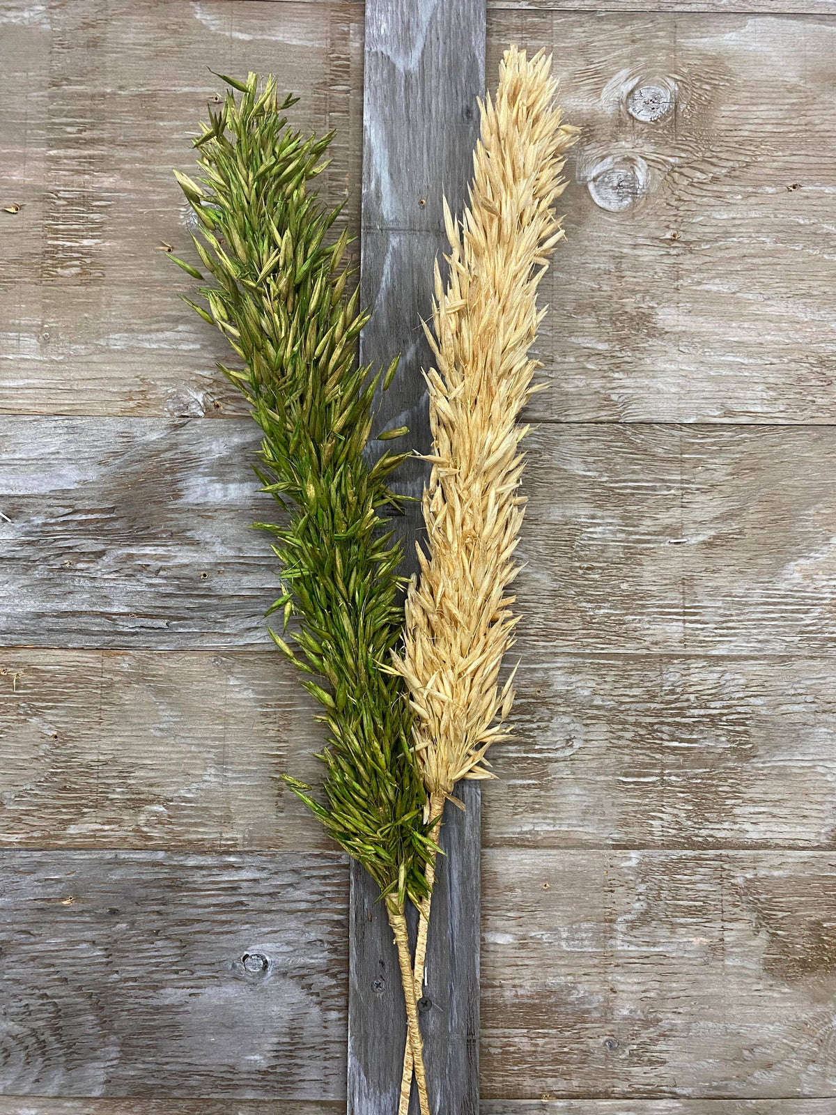 Green Avana Grass 39in