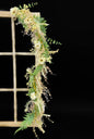 Colorado Meadow 4ft Garland