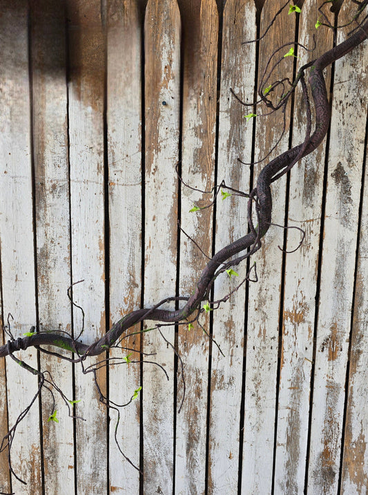 Jungle Vine 62in