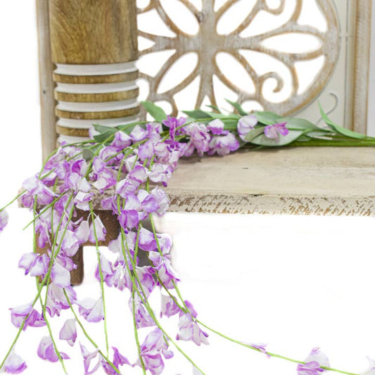 Lavender Hanging Wisteria  4ft